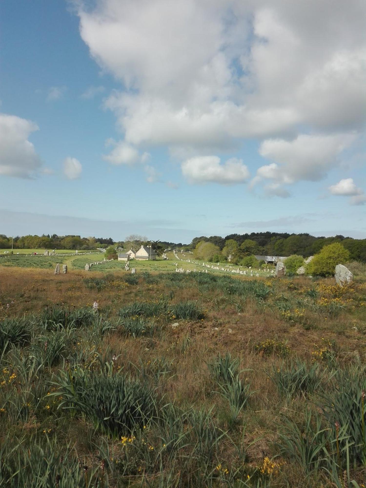 Apartment Grand Duplex Avec Jardin La Trinite-sur-Mer