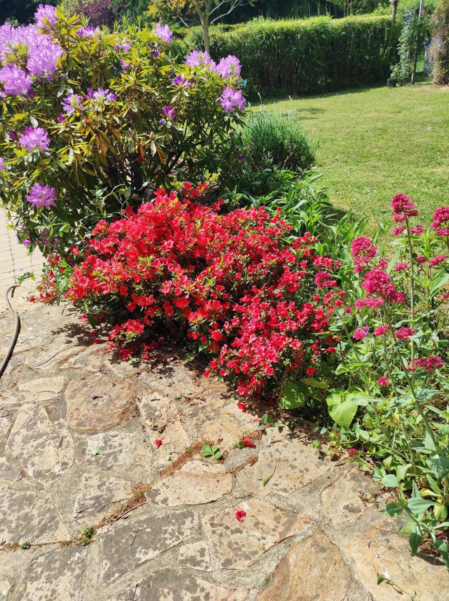 Grand Duplex Avec Jardin *