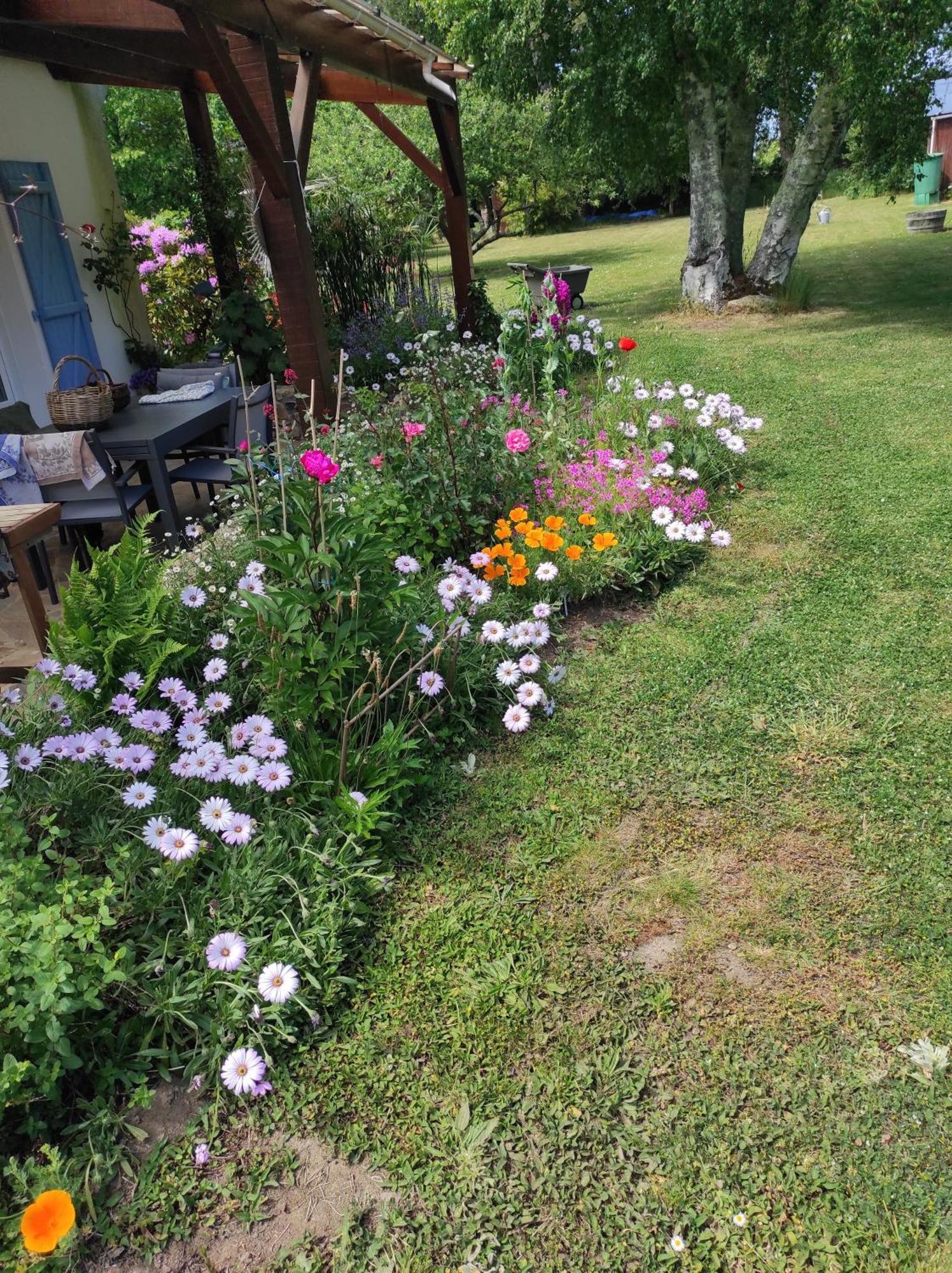 Grand Duplex Avec Jardin Apartment